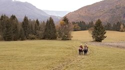 AERIAL Two people enjoying a relaxing horseback ride in countryside Stock Footage