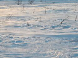 Snow Drift Stock Footage