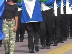 High School Marching Band 004 Stock Footage