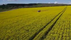Rapeseed Spraying Stock Footage