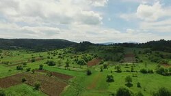 Heli Shot Of A Green Landscape Stock Footage