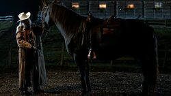 SLO MO DS Cowgirl stroking her horse at night Stock Footage