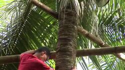 VOICED : Risking life and limb to make News Clip