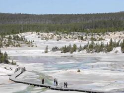 tourists walking amongst geysers in Yellowstone Stock Footage
