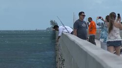 People Fishing Off The Seven Mile Bridge, Florida Keys, Tourists Stock Footage