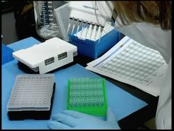 TALKING POINT France is considering asking for DNA tests from visa applicants News Clip