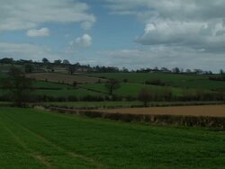 T/L shadows over Linseed rape fields, April, UK. take 1#3B07 Stock Footage