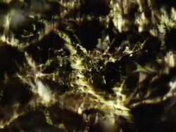 SUNBEAMS IN WATER ON MOSS - HD loop Stock Footage