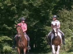 WS TU View of equestriennes riding at village Ayl, Saar Valley, Saarburg country / Ayl, Saar-Valley, Rhineland-Palatinate, Germany Stock Footage