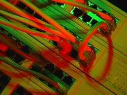 Ethernet Cables and Server Stock Footage
