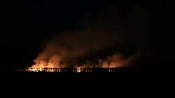 wildfire Stock Footage