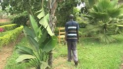 VOICED : Kagame eyes third term as millions sign petition News Clip