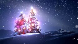 Winter landscape and New year Stock Footage