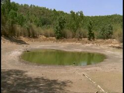WA pool in jungle, Bandhavgarh National Park, India Stock Footage
