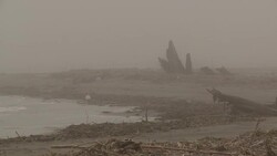 A heron stands on a shoreline littered with debris in a dense fog. Stock Footage