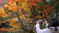 Woman using smartphone take photo Stock Footage