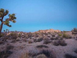 Mojave Desert California Stock Footage