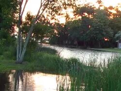 evening tide Stock Footage