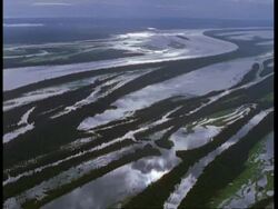 Aerial of vast river flooding, River Amazon, South American Stock Footage