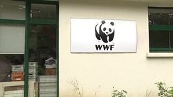 CLEAN : Earth's 2017 resource budget spent by August 2: report News Clip