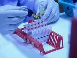scientist testing in Blood Bank Stock Footage