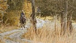 SLO MO Two cowboys riding galloping horses on country road Stock Footage