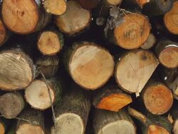 HD SUPER SLOW-MO: Snowflakes And Woodpile Stock Footage