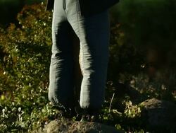 Views Of British Farming Stock Footage