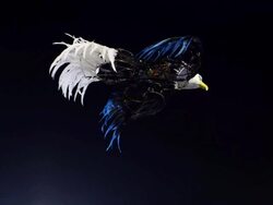 Rio Carnival 2014 Stock Footage