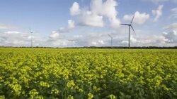 windpower plants on rapeseed field Stock Footage
