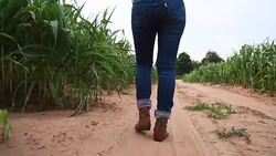 Corn farmer walking in field Stock Footage