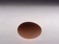 CU, Hand picking up egg Stock Footage