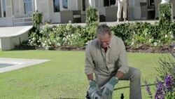 Portrait of smiling senior man gardening Stock Footage