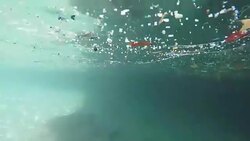 Microplastics Floating In Sea On Bermuda Coastline News Clip