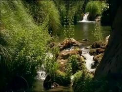 River scenic, Parque Natural Sierras de Cazorla, Segura y las Villas (Jaen), Andalucia, Spain Stock Footage