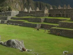 Machu Picchu, Peru Stock Footage
