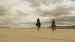 Riding Horses in the Dessert 02 Stock Footage