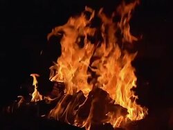 CU SLO MO Shot of Bonefire, Fire flames in campfire / Moremi Reserve, Botswana, South Africa Stock Footage