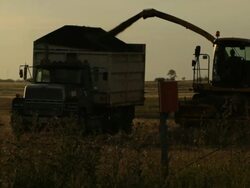 Tractor working in the early morning Stock Footage