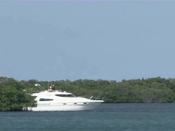 WS Yacht sailing through Everglades river  / Everglades, Florida, USA Stock Footage