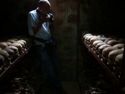 Rwanda Commemorates 20th Anniversary Of Genocide Stock Footage