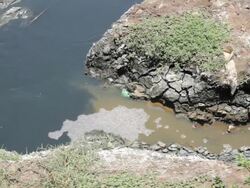 Water Pollution in Citarum River, Indonesia Stock Footage
