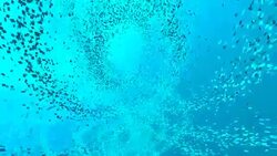 Blue Energy Abstract background HD Stock Footage