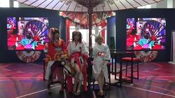 Cartoons, cosplay and colourful displays at China festival News Clip