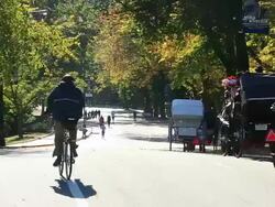 WS TU Shot of blowing leaves by gust and people and horse carriages under the autumn color trees / New York, United States Stock Footage