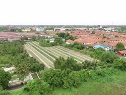 Aerial shot vegetable garden Stock Footage
