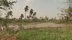 CLEAN : India cyclone survivors return home to des News Clip