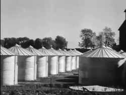 Corn granary complex Stock Footage