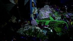 CLEAN : Minneapolis celebrates Prince News Clip