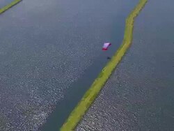 WS AERIAL TS View of paragliding / Werribee, Victoria, Australia Stock Footage